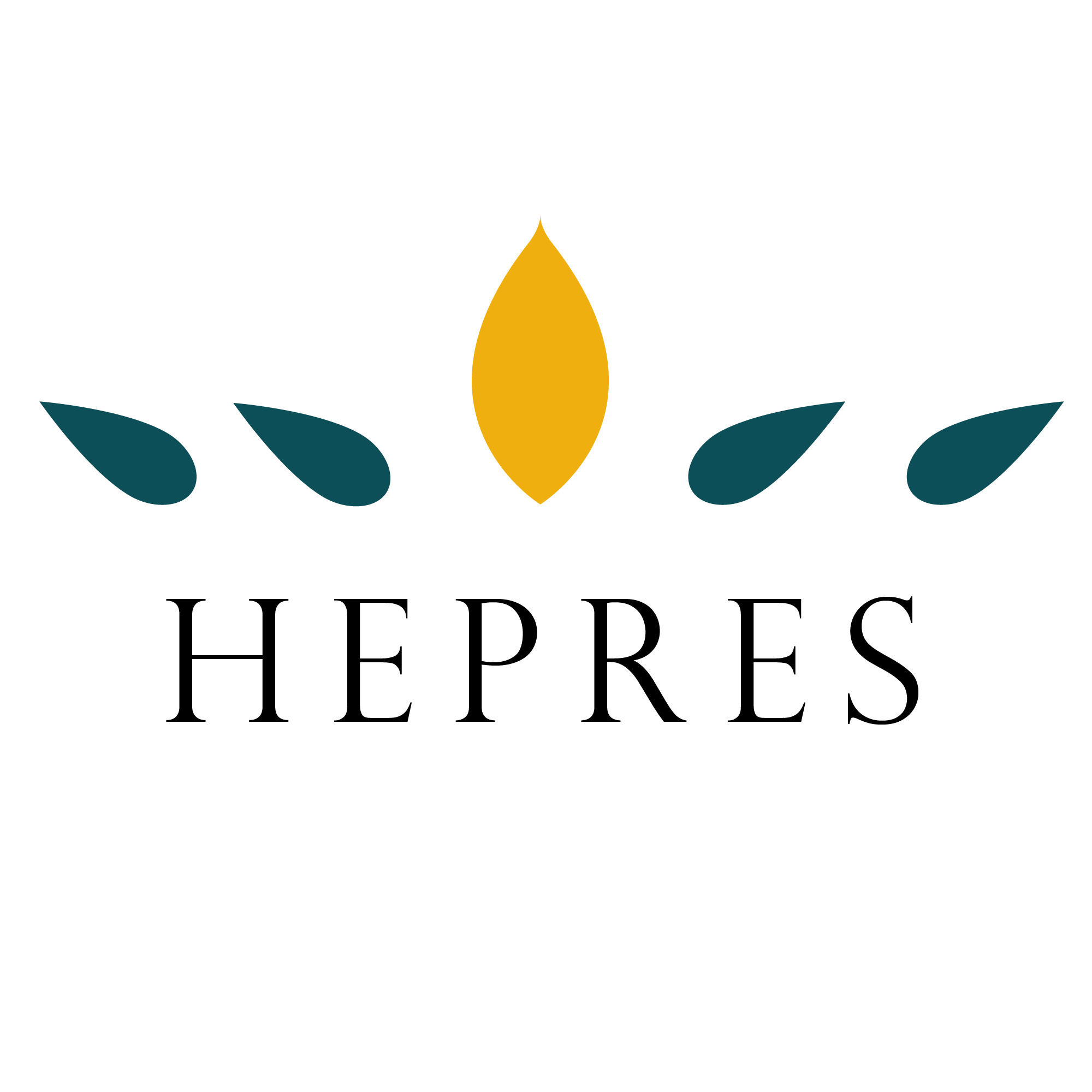 海普研嘉——生信一站式学习兼职平台